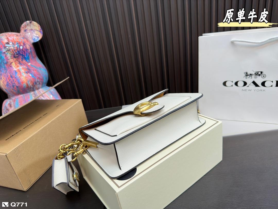 Replica Coach Bag 25*14CM