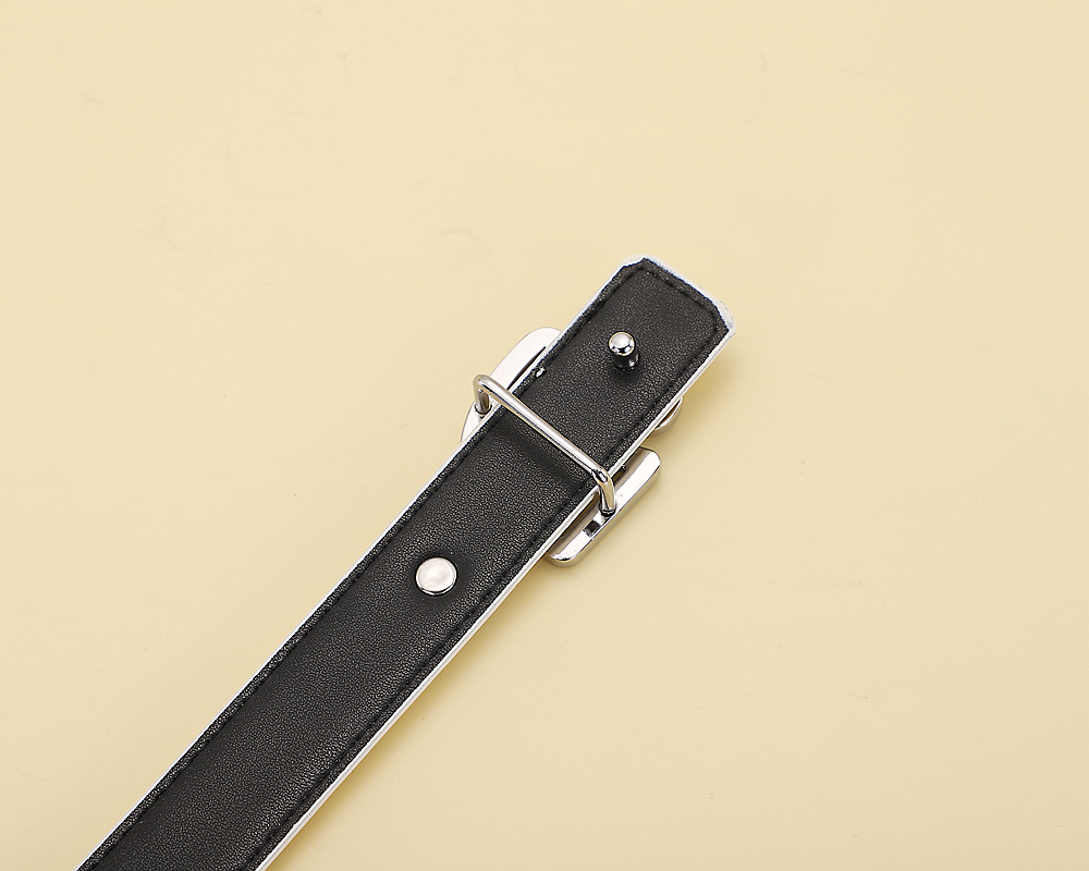 Replica CELINE belt
