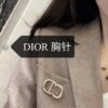 Replica DIOR Brooch