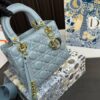 Replica Dior Bag 17*20CM