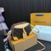 Replica Louis Vuitton Bag 20*14CM