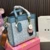 Replica Coach Bag 21CM