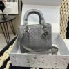 Replica Dior Bag 17CM/20CM