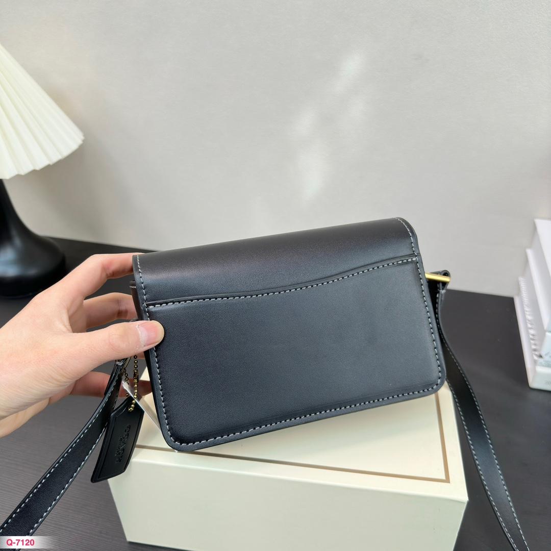 Replica Coach Bag 18*12CM